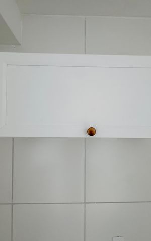 Apartamento para alugar com 35m², 2 quartos e sem vaga Apartamento para alugar com 35m², 2 quartos e sem vagaÁrea de Serviço