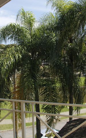 Casa de condomínio à venda com 820m², 4 quartos e 4 vagasSuíte Vista