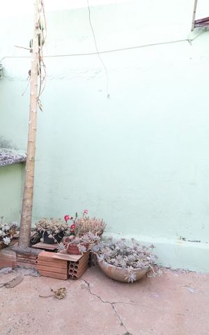 Casa para alugar com 150m², 3 quartos e 3 vagasÁrea de Serviço