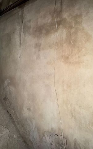 Casa para alugar com 44m², 1 quarto e sem vagaVista - Quarto 