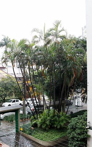 Apartamento à venda com 98m², 2 quartos e 1 vagaQuarto 2 Vista
