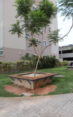Apartamento para alugar com 50m², 1 quarto e 1 vagaÁrea comum - Jardim