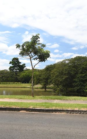Casa de condomínio à venda com 323m², 4 quartos e 4 vagasÁrea comum