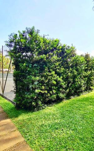 Apartamento à venda com 542m², 5 quartos e 4 vagas Apartamento à venda com 542m², 5 quartos e 4 vagasÁrea comum