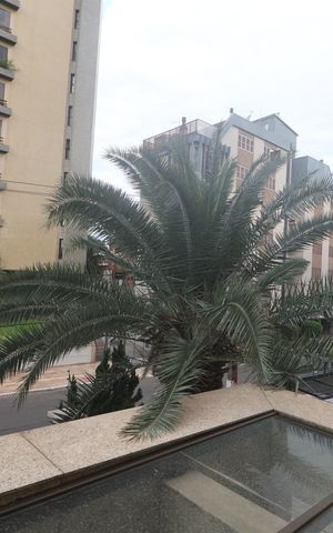 Apartamento para alugar com 167m², 3 quartos e 2 vagasVista da Sacada