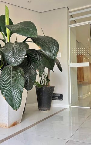 Apartamento para alugar com 75m², 2 quartos e 2 vagasHall de entrada