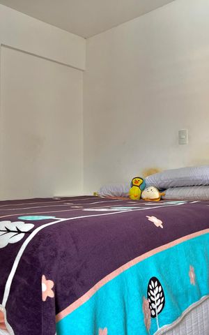 Apartamento para alugar com 75m², 2 quartos e 2 vagasSuíte 