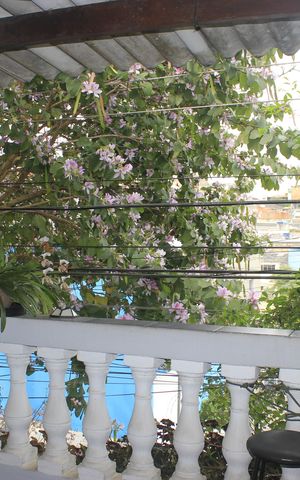 Casa à venda com 200m², 6 quartos e 3 vagasVaranda gourmet (casa 1)