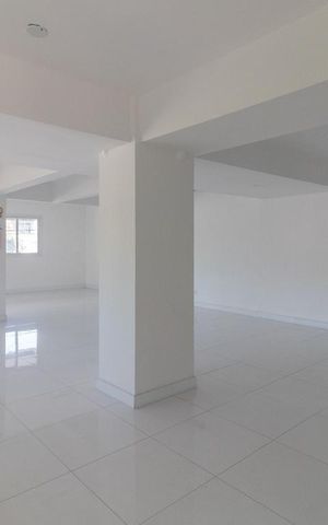 Apartamento à venda com 66m², 2 quartos e 1 vaga Apartamento à venda com 66m², 2 quartos e 1 vagaSalão de Festas