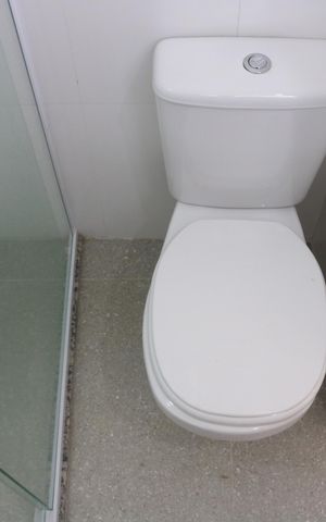 Apartamento para alugar com 53m², 1 quarto e sem vagaBanheiro