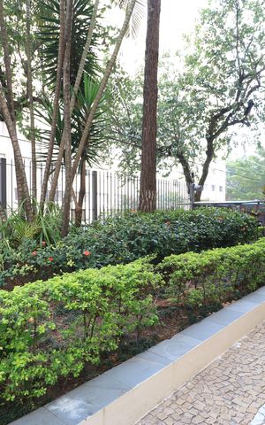 Apartamento para alugar com 55m², 2 quartos e 1 vagaÁrea comum