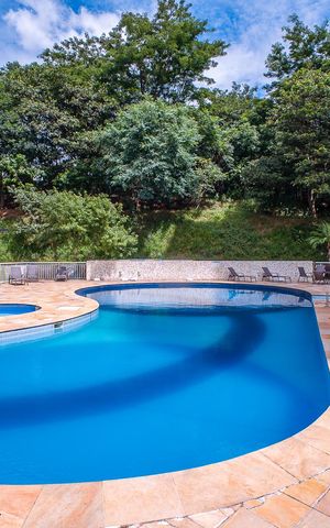 Apartamento para alugar com 62m², 2 quartos e 1 vaga Apartamento para alugar com 62m², 2 quartos e 1 vagaÁrea comum - Piscina