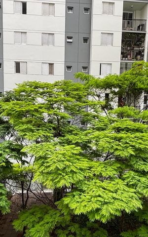 Apartamento para alugar com 64m², 2 quartos e 1 vaga Apartamento para alugar com 64m², 2 quartos e 1 vagaQuarto Vista