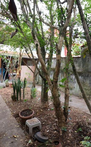 Casa à venda com 139m², 2 quartos e 2 vagasQuintal - Fundos
