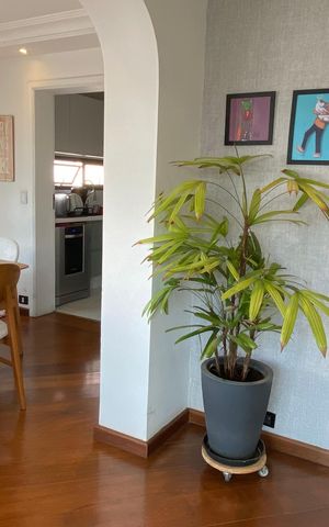 Apartamento à venda com 146m², 3 quartos e 2 vagas Apartamento à venda com 146m², 3 quartos e 2 vagasSala