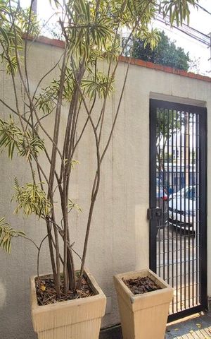 Casa à venda com 177m², 3 quartos e 2 vagas Casa à venda com 177m², 3 quartos e 2 vagasVista da Sala