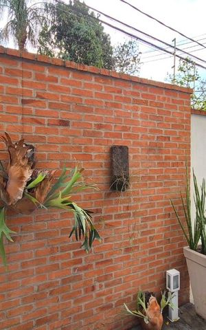 Casa à venda com 177m², 3 quartos e 2 vagas Casa à venda com 177m², 3 quartos e 2 vagasSala de Jantar