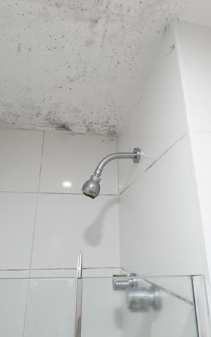 Apartamento à venda com 198m², 4 quartos e 3 vagasBanheiro de serviço