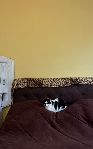 Apartamento para alugar com 60m², 1 quarto e 1 vagaQuarto
