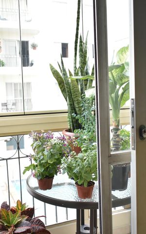 Apartamento à venda com 72m², 3 quartos e 1 vagaSacada