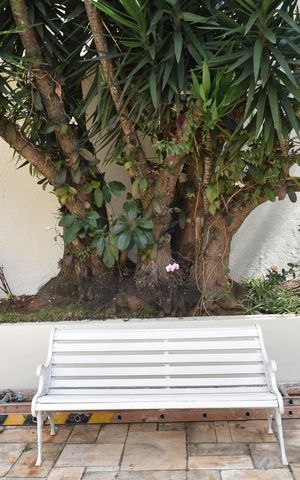 Apartamento à venda com 72m², 3 quartos e 1 vagaÁrea comum