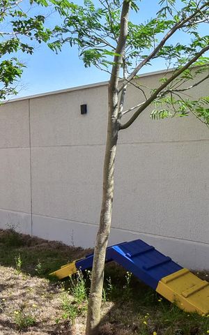 Apartamento para alugar com 32m², 2 quartos e sem vagaEspaço Pet