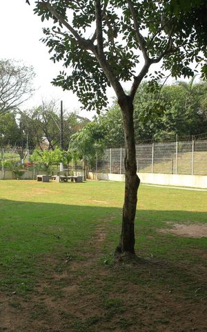 Apartamento à venda com 48m², 2 quartos e 1 vagaÁrea comum - espaço Pet 