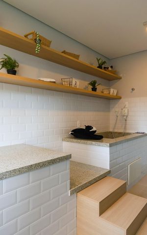 Apartamento para alugar com 48m², 2 quartos e sem vaga Apartamento para alugar com 48m², 2 quartos e sem vagaespaço pet