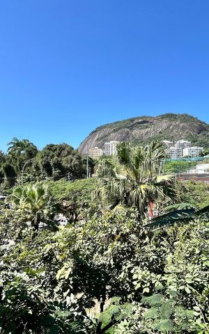 Apartamento para alugar com 135m², 3 quartos e 1 vaga Apartamento para alugar com 135m², 3 quartos e 1 vagaVista da Sala