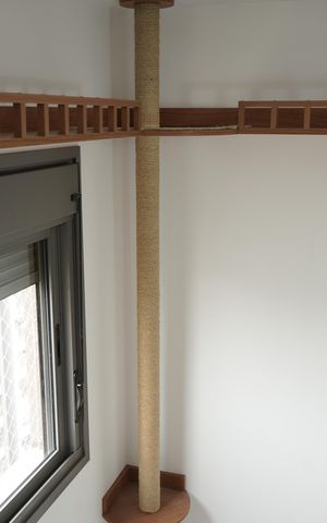 Apartamento à venda com 81m², 3 quartos e 2 vagasSuíte
