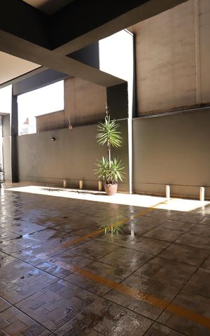 Apartamento à venda com 156m², 3 quartos e 3 vagasGaragem - Vaga 1