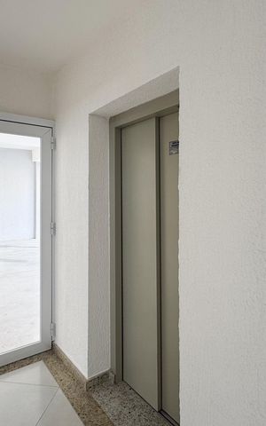 Apartamento para alugar com 50m², 2 quartos e 1 vaga Apartamento para alugar com 50m², 2 quartos e 1 vagaÁrea comum - Hall