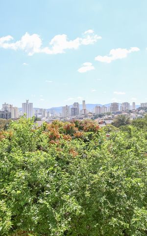 Casa à venda com 300m², 3 quartos e 2 vagas Casa à venda com 300m², 3 quartos e 2 vagasVista da Sala