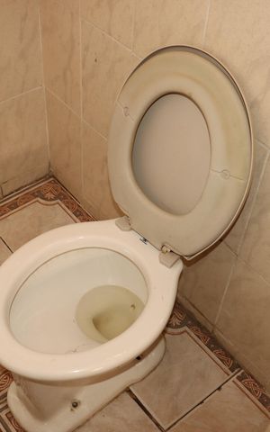 Casa para alugar com 126m², 3 quartos e 2 vagasBanheiro externo