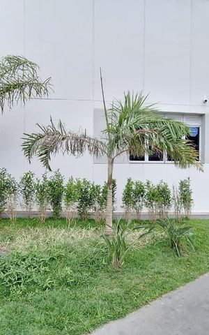 Apartamento para alugar com 37m², 2 quartos e sem vaga Apartamento para alugar com 37m², 2 quartos e sem vagaFachada