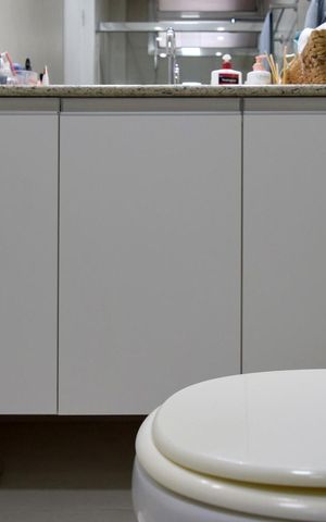 Apartamento à venda com 224m², 4 quartos e 2 vagasBanheiro da Suíte 1