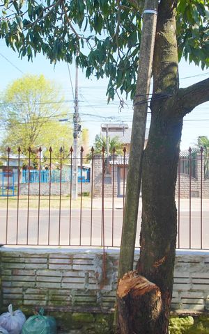 Casa para alugar com 70m², 2 quartos e 1 vagavista do quarto 2