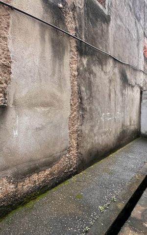 Apartamento para alugar com 55m², 2 quartos e 1 vagaVista do Quarto 2