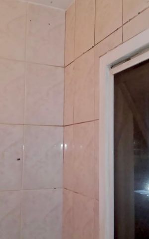 Apartamento para alugar com 53m², 2 quartos e 1 vaga Apartamento para alugar com 53m², 2 quartos e 1 vagaÁrea de Serviço
