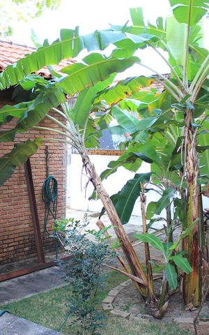 Casa para alugar com 361m², 3 quartos e 2 vagasÁrea Verde