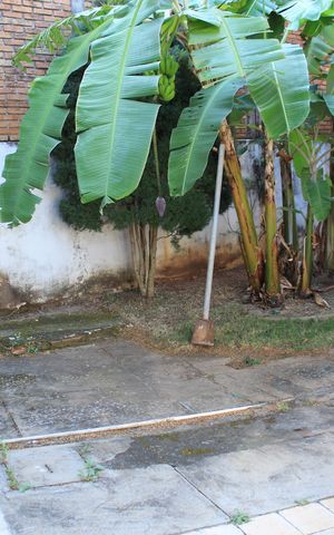 Casa para alugar com 361m², 3 quartos e 2 vagasQuintal / Área verde