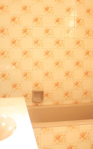 Casa para alugar com 361m², 3 quartos e 2 vagasBanheiro