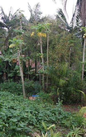 Casa para alugar com 1276m², 4 quartos e 7 vagasJardim