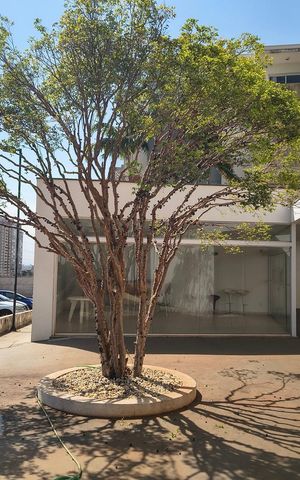 Apartamento para alugar com 45m², 1 quarto e 1 vaga Apartamento para alugar com 45m², 1 quarto e 1 vagaÁrea externa