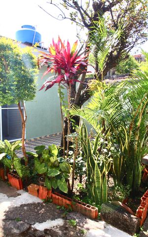 Casa para alugar com 120m², 3 quartos e 1 vagaQuintal 