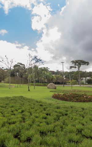 Apartamento à venda com 450m², 4 quartos e 4 vagasÁrea comum