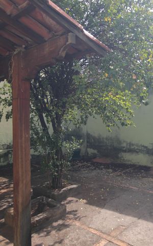 Casa para alugar com 264m², 3 quartos e 4 vagasQuintal