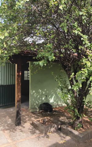 Casa para alugar com 264m², 3 quartos e 4 vagasQuintal