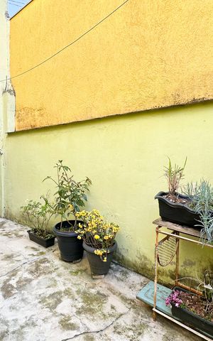 Casa à venda com 130m², 3 quartos e 3 vagasQuintal