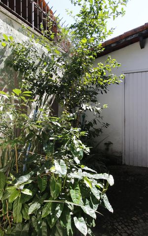 Casa de condomínio à venda com 675m², 6 quartos e 4 vagasjardim de iverno 